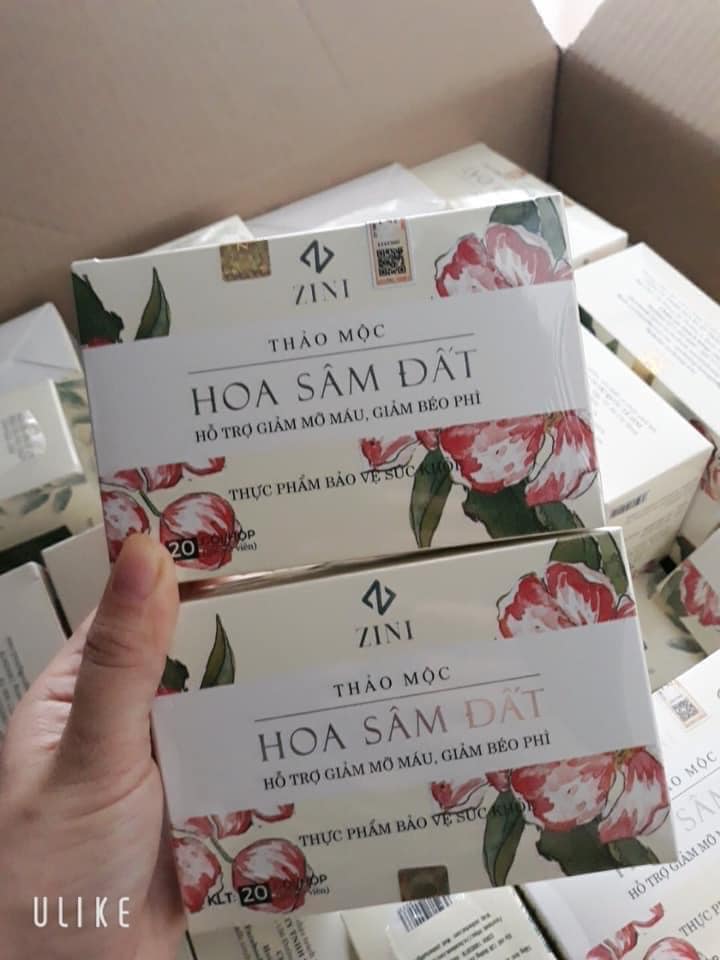 TRÀ HOA SÂM ĐẤT