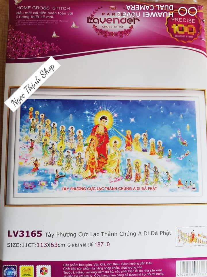 Tranh thêu chữ thập Tây Phương Cực Lạc THÁNH CHÚNG A DI ĐÀ PHẬT LV3165- KT:113x63cm