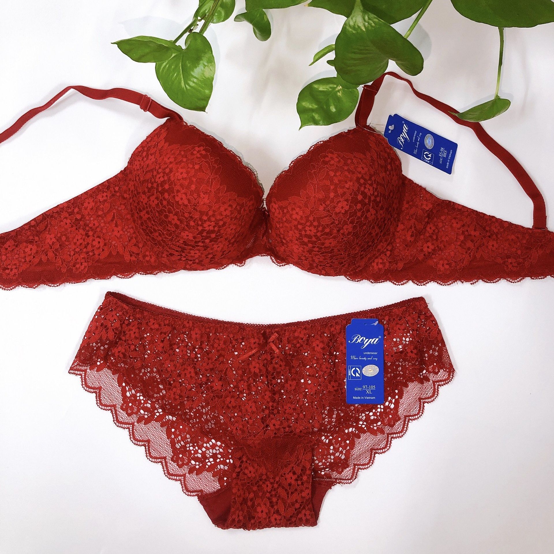 Bộ đồ lót boya ren đệm mút vừa 3cm hàng công ty boya vnxk - mrbap
