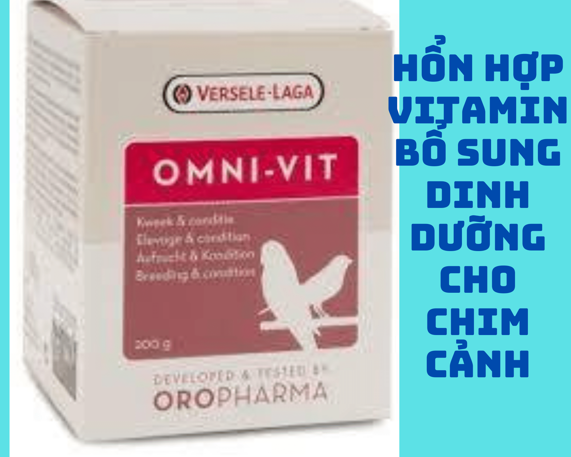 Omnivit hỗn hợp vitamin bổ sung dinh dưỡng cho chim cảnh. 10gr