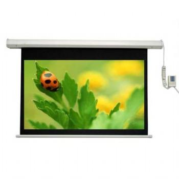Màn chiếu điện dalite pw300es 300inch