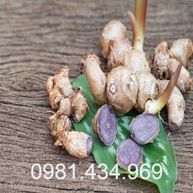 Gừng đen tươi 01kg mới