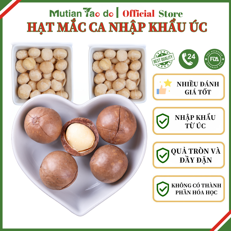 Hạt macca nứt vỏ mắc ca Đăk Lăk sấy lạnh quả dễ tách giá tận xưởng giàu dinh dưỡng hộp 500g