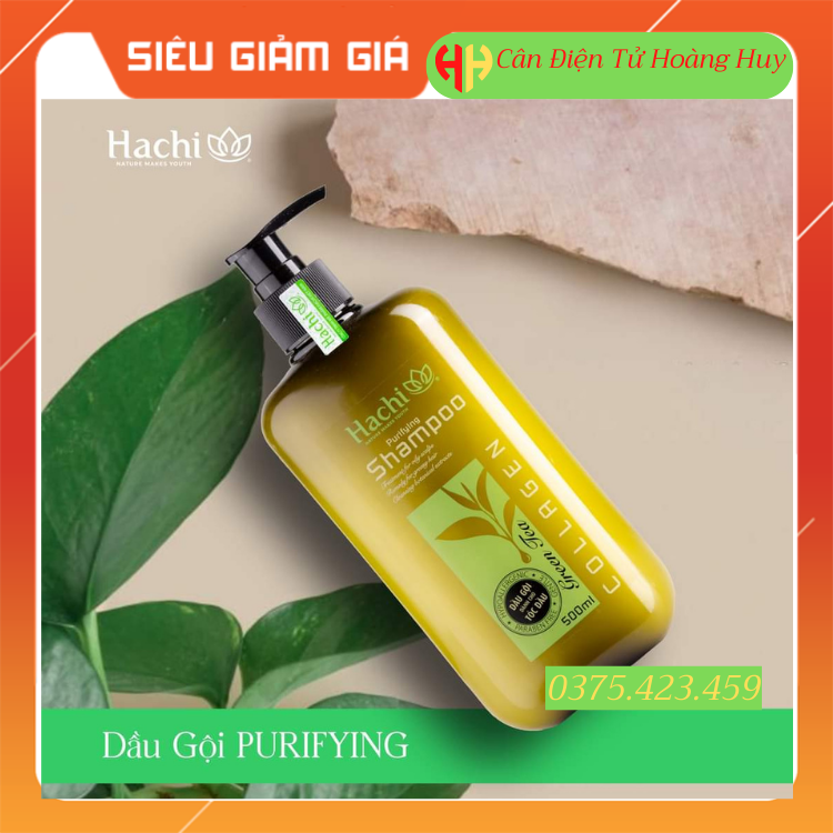 Hàng Chính Hãng Dầu gội chiết xuất từ lá trà xanh HACHI ( 500 ml ) dành cho tóc dầu