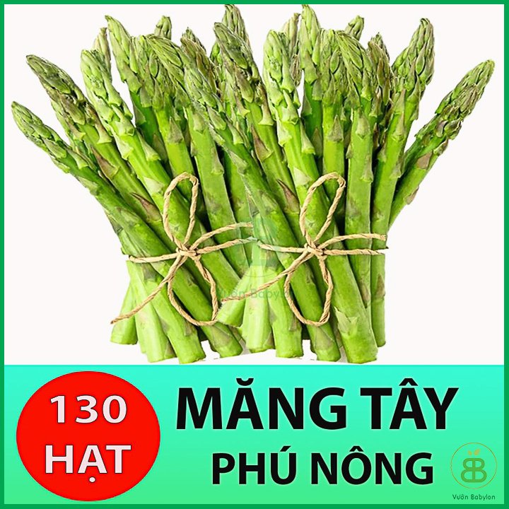 Hạt Giống Măng Tây F1 130HẠT Năng Suất Cao