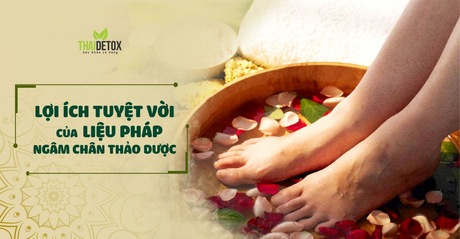 Thảo dược ngâm chân detox foot combo 5 gói thảo dược ngâm chân detox foot đẹp da thải độc tri nám mề đay dị ứng