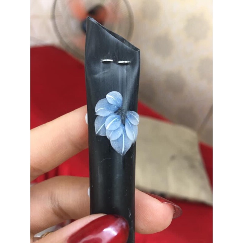 hoa bột ,hoa chân SHOP NAIL HUYỀN ANH