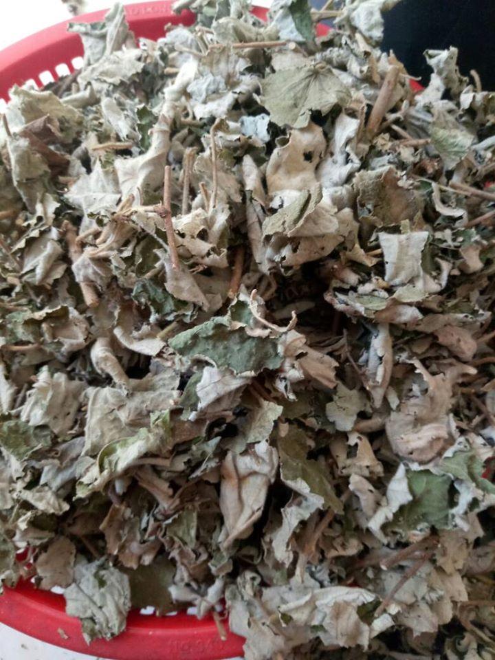 lá mâm xôi làm dầy niêm mạc và tăng chất lượng tinh trùng 1kg