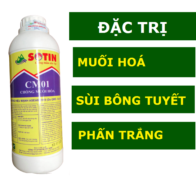 [HCM]Chống muối hoá - Sùi bông tuyết cho tường