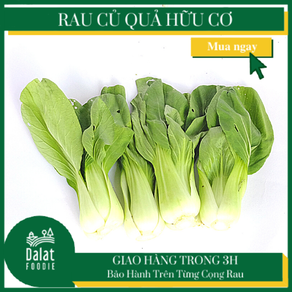 Cải thìa 250g -