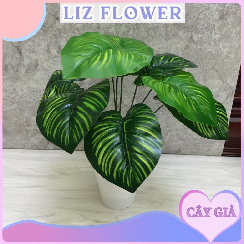 Cây lá lốt cây giả 9 cành lá liz75