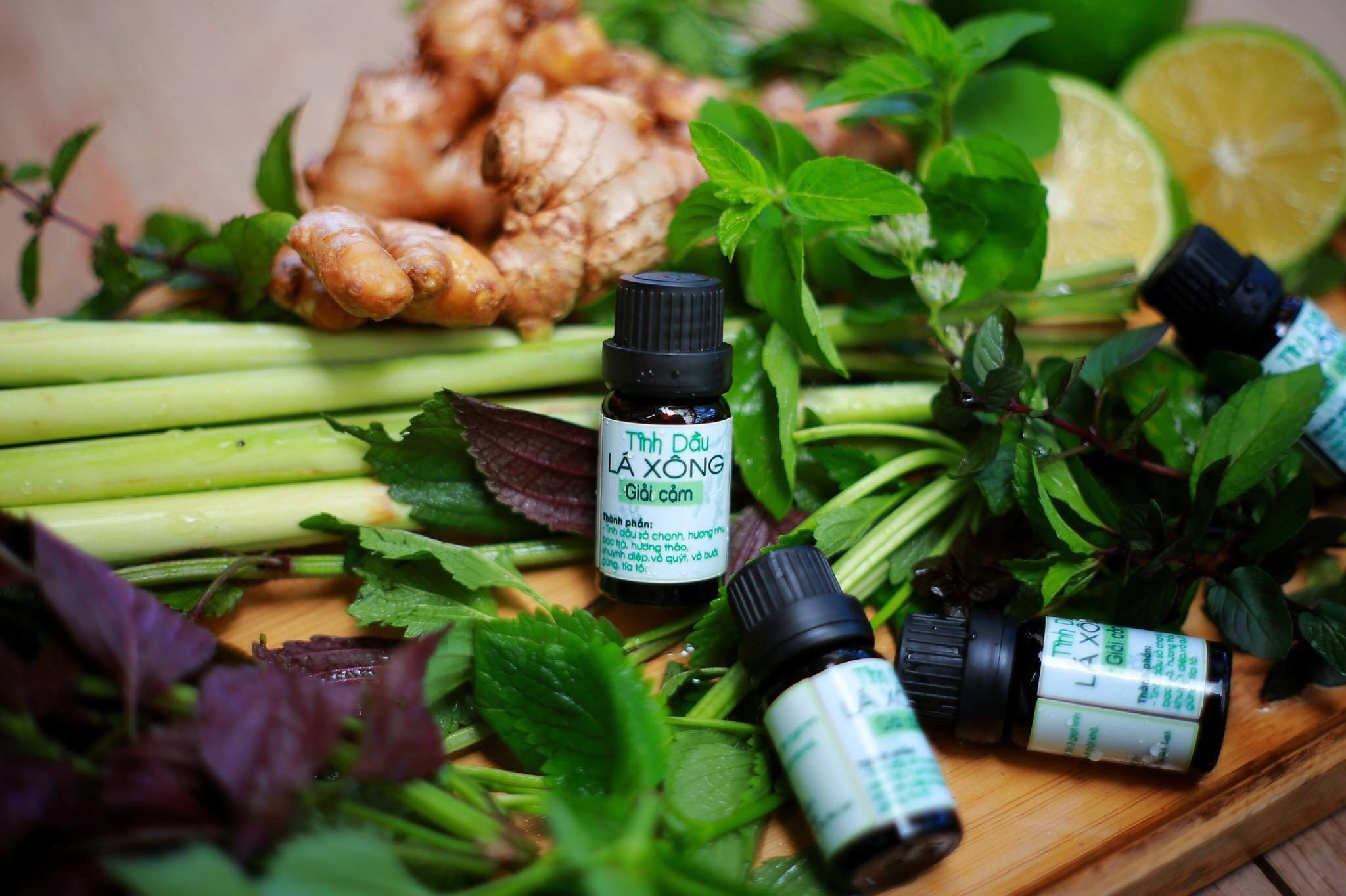 Tinh dầu lá xông mũi họng giải cảm