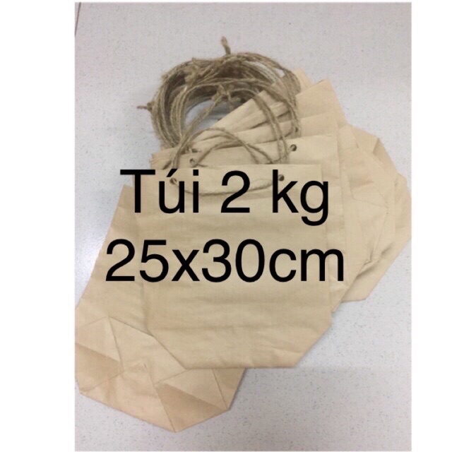 Combo 50 túi quai kích thước 25x30cm