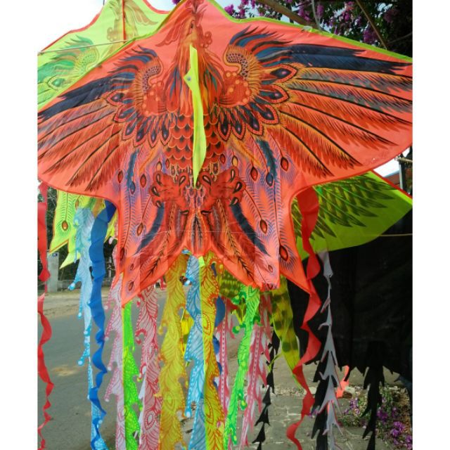 DIỀU PHỤNG 3 ĐUÔI