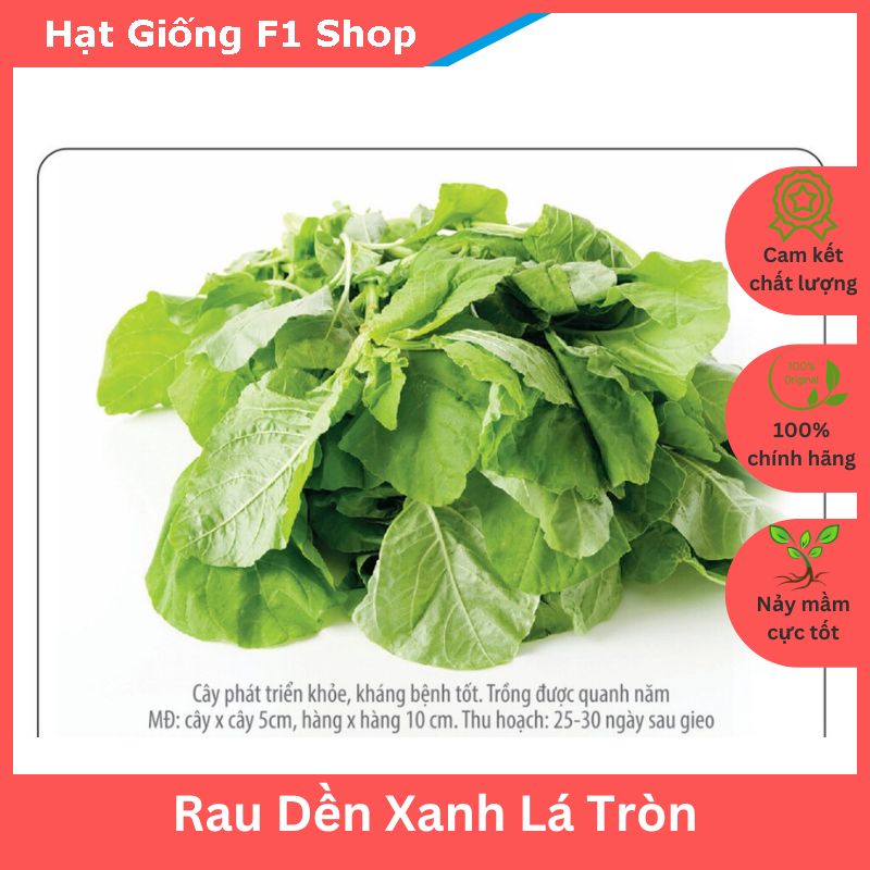 Hạt giống rau dền xanh lá tròn ngon mềm