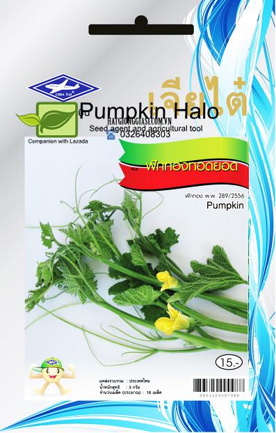 [HCM]Hạt Giống Bí Ngọn Siêu Đọt  Thái Lan GS250_gói 3gram. TẶNG GÓI PHÂN CAO CẤP 10GRAM.