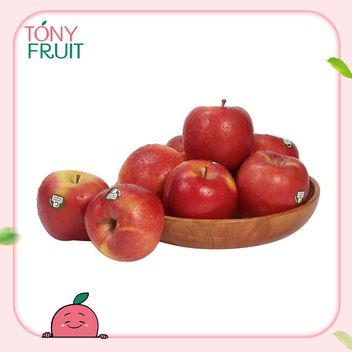 Trái Cây Tươi Táo Candine Cardell Pháp Ngọt, Giòn Túi 1Kg