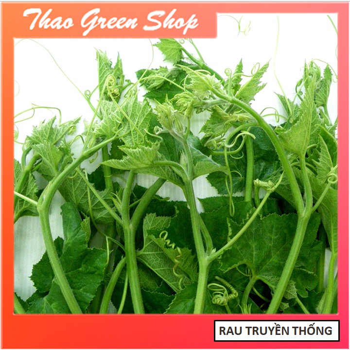 Hạt giống bí siêu ngọn 20 gr