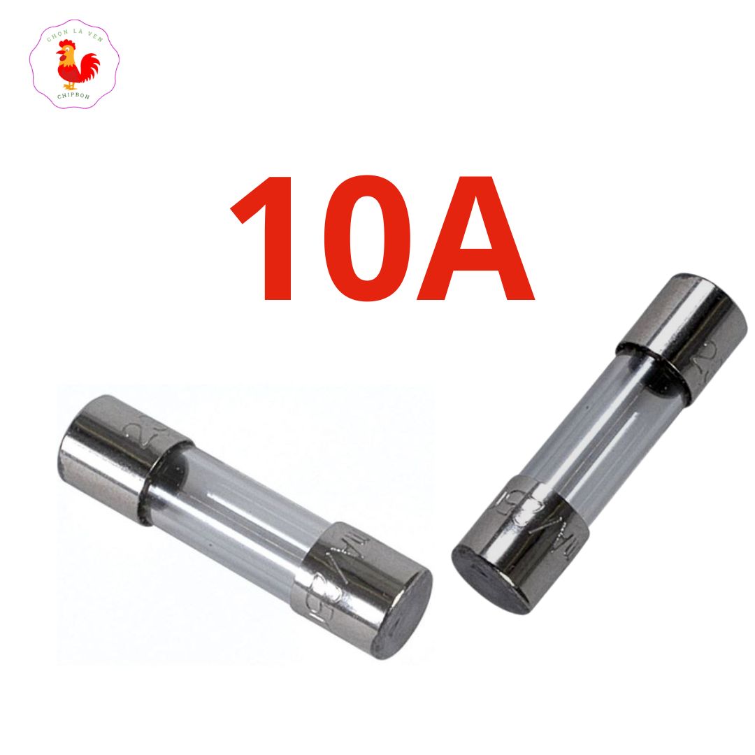 Cầu chì ống 6x30 250v