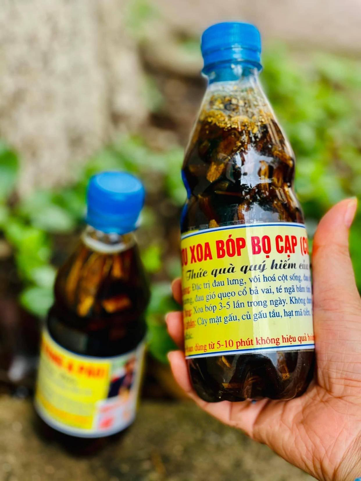 Rư.ợu xoa bóp bọ cạp , thức qùa qú.y hiếm của núi rừng tây bắc - đặc sản tây bắc - đặc sản 27