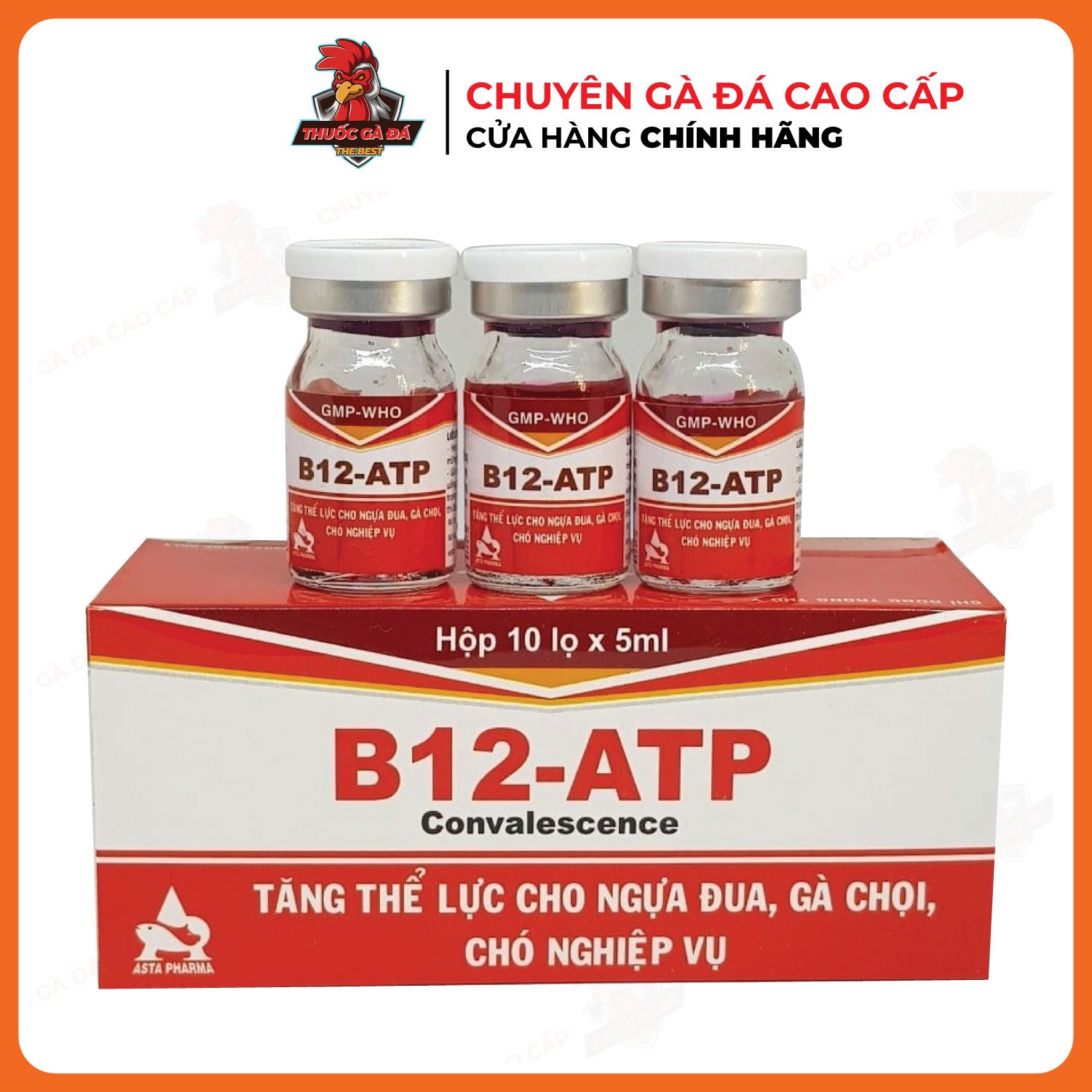 B12 atp tăng bo, lì đòn hộp 10 lọ cho gà đá
