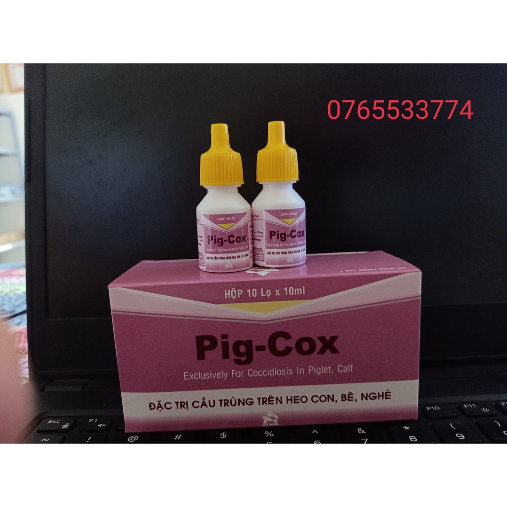 HỘP PIG COX - ASTA Pharma 10ML