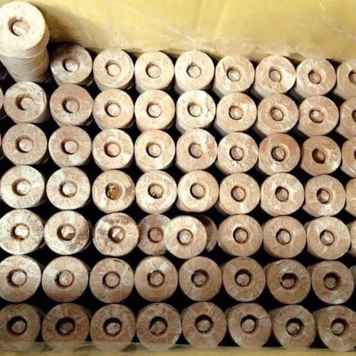 Combo 200 viên nén sơ dừa ươm cây và hạt giống