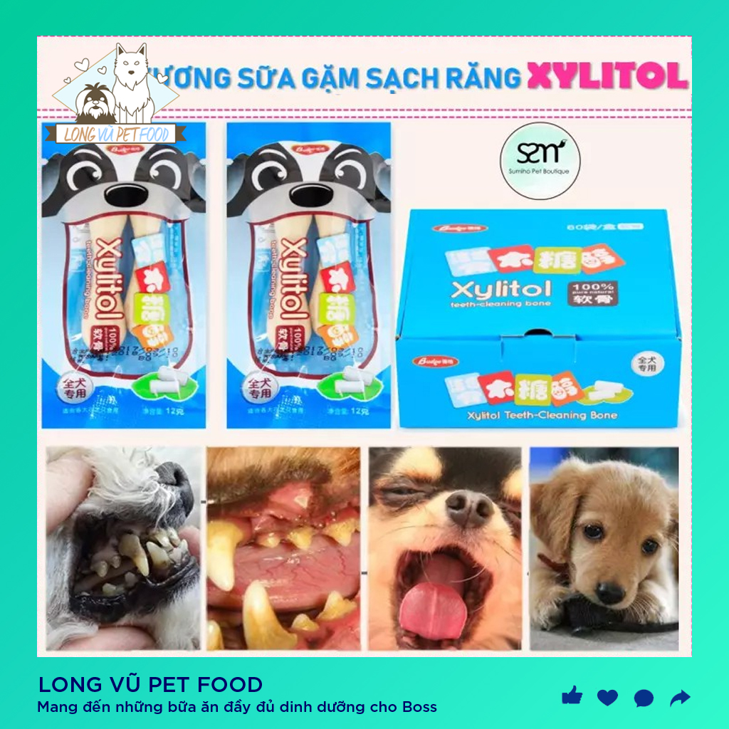 Xương sữa Xylitol cho chó mèo Phụ kiện Long Vũ