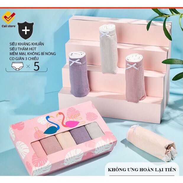 Hộp 5 quần nâng Mông thiên nga Quần Lót Nữ Cotton, Nâng Mông, Kháng Khuẩn