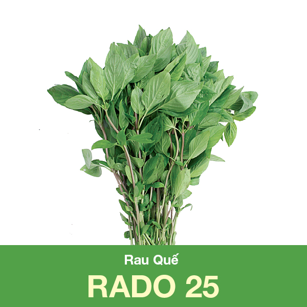 Hạt giống rau húng quế rado 25- hữu cơ xanh