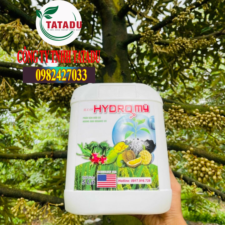 Hydro mỹ – phân bón hữu cơ kích rễ, kích phát chồi, phát đọt cực mạnh cho cây can 5 lít