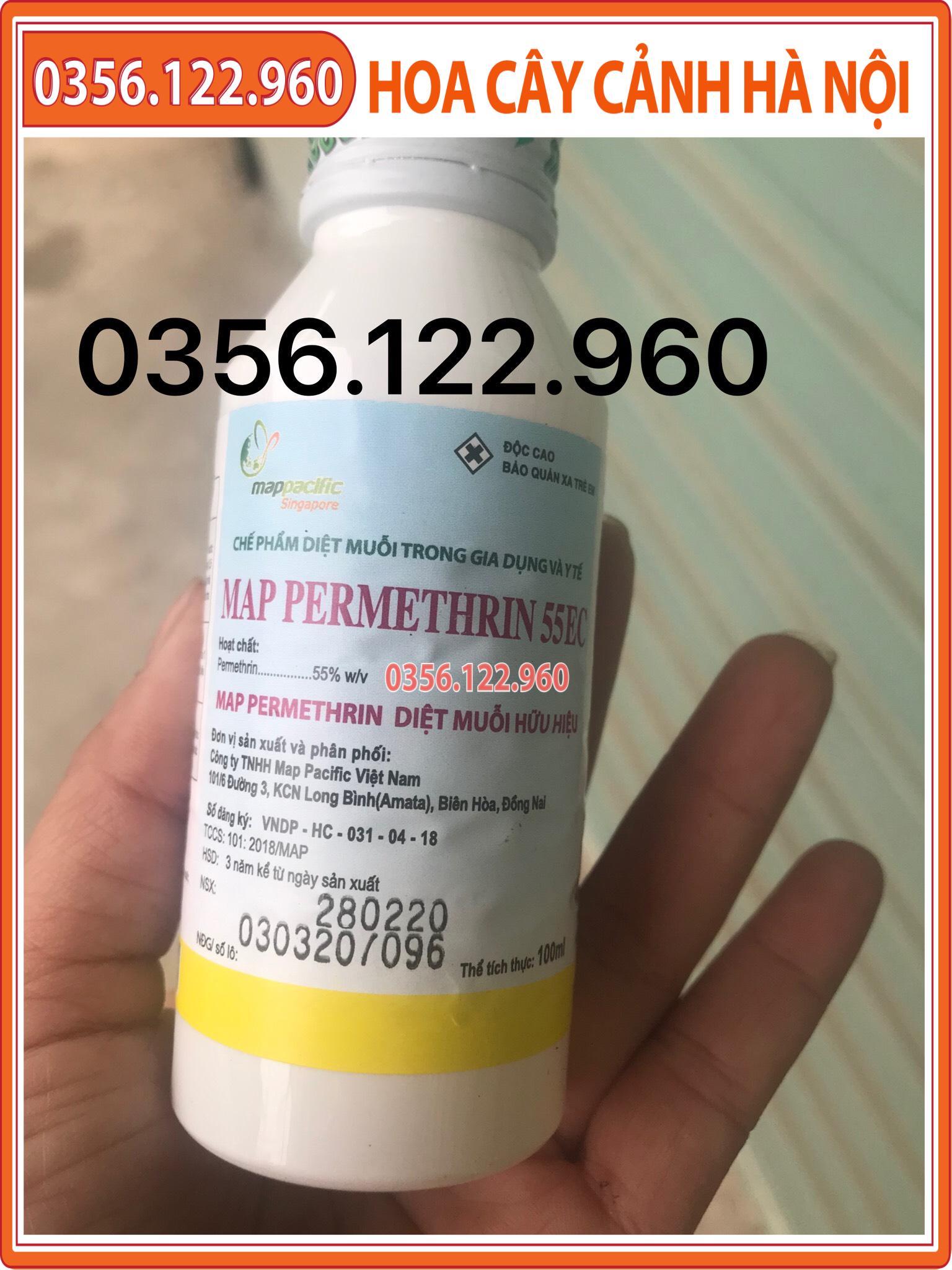 MAP PERMETHRIN 55EC diệt muỗi tận gốc an toàn hiệu quả thuốc diệt muỗi nhập khẩu 100ml