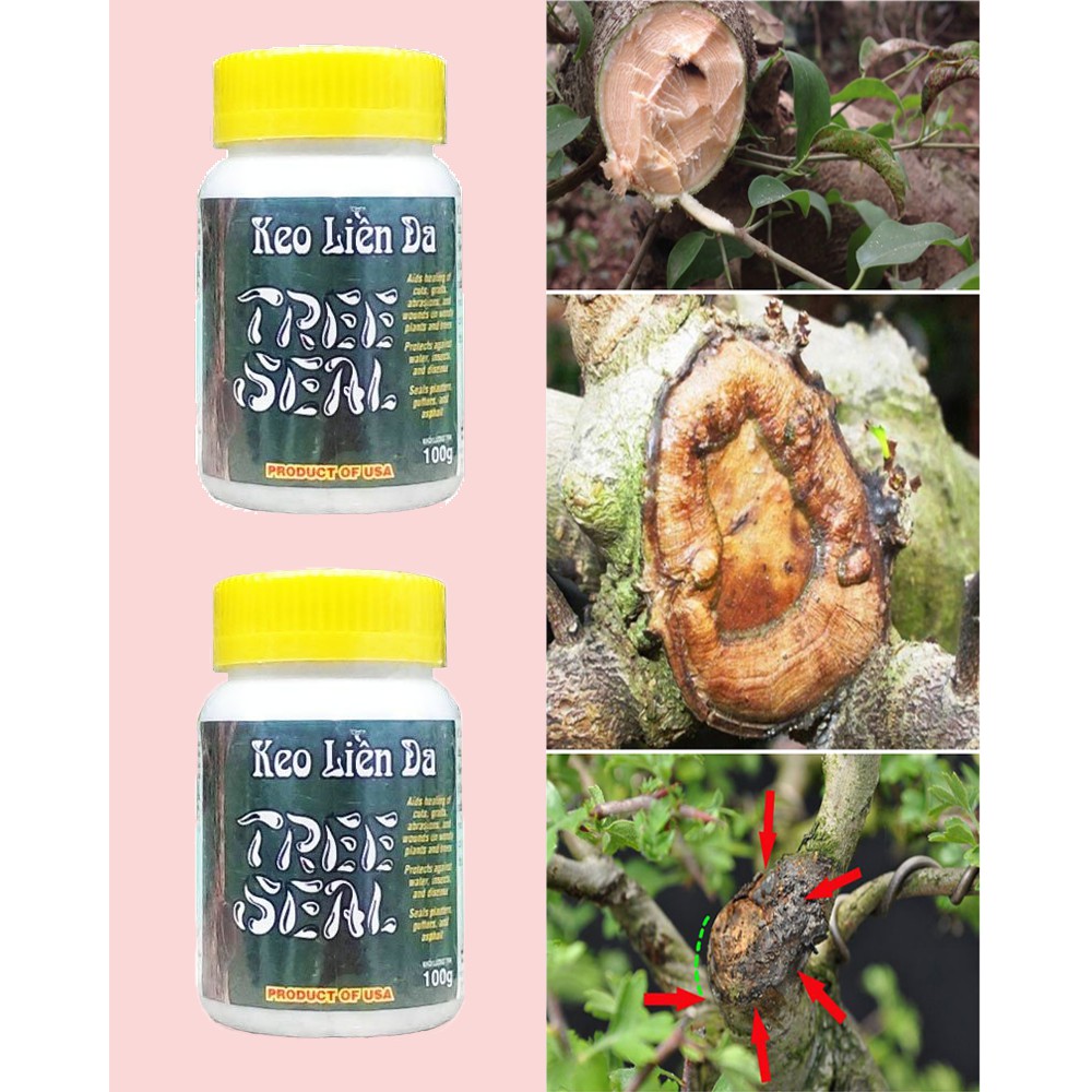 Keo liền sẹo thần tốc làm lành vết cắt cây trồng tức thì Tree Seal mỹ 100ml _ keo liền da đen USA