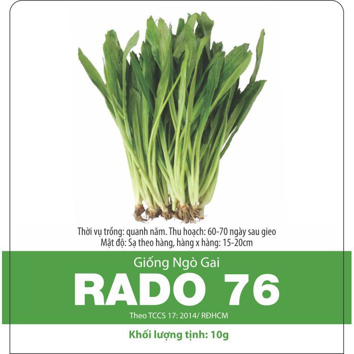 Hạt Giống Rau Ngò Gai Rau Mùi Tàu Thơm ngon, dễ trồng