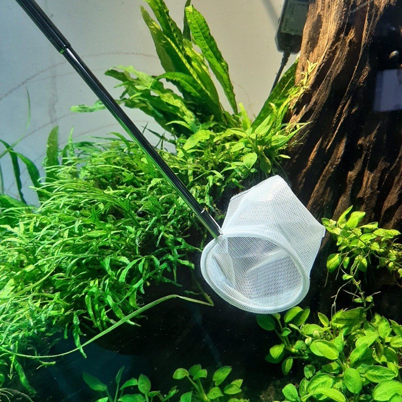 [HCM]Vợt Tép 3D Lưới Sâu - Vợt Vớt Cá Tép Thuỷ Sinh Sâu Lồng