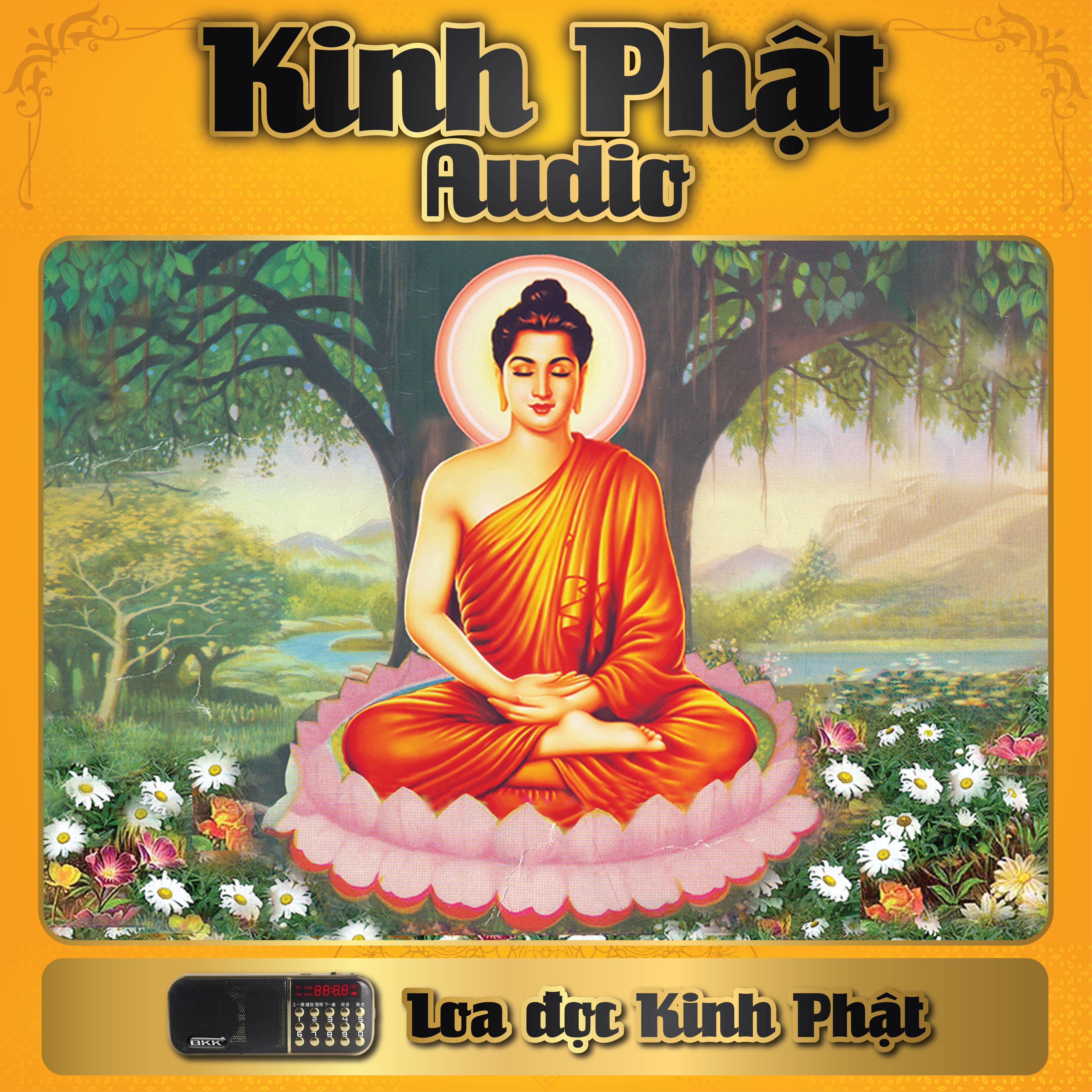 Loa tụng kinh, nghe pháp, kinh phật cầu bình an
