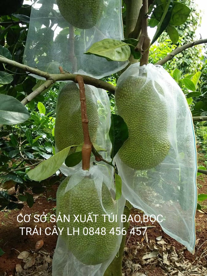 50 cái túi bao ,bọc mít lưới cước thái loại tốt 50*70