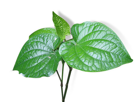 Lát lốt (kg)