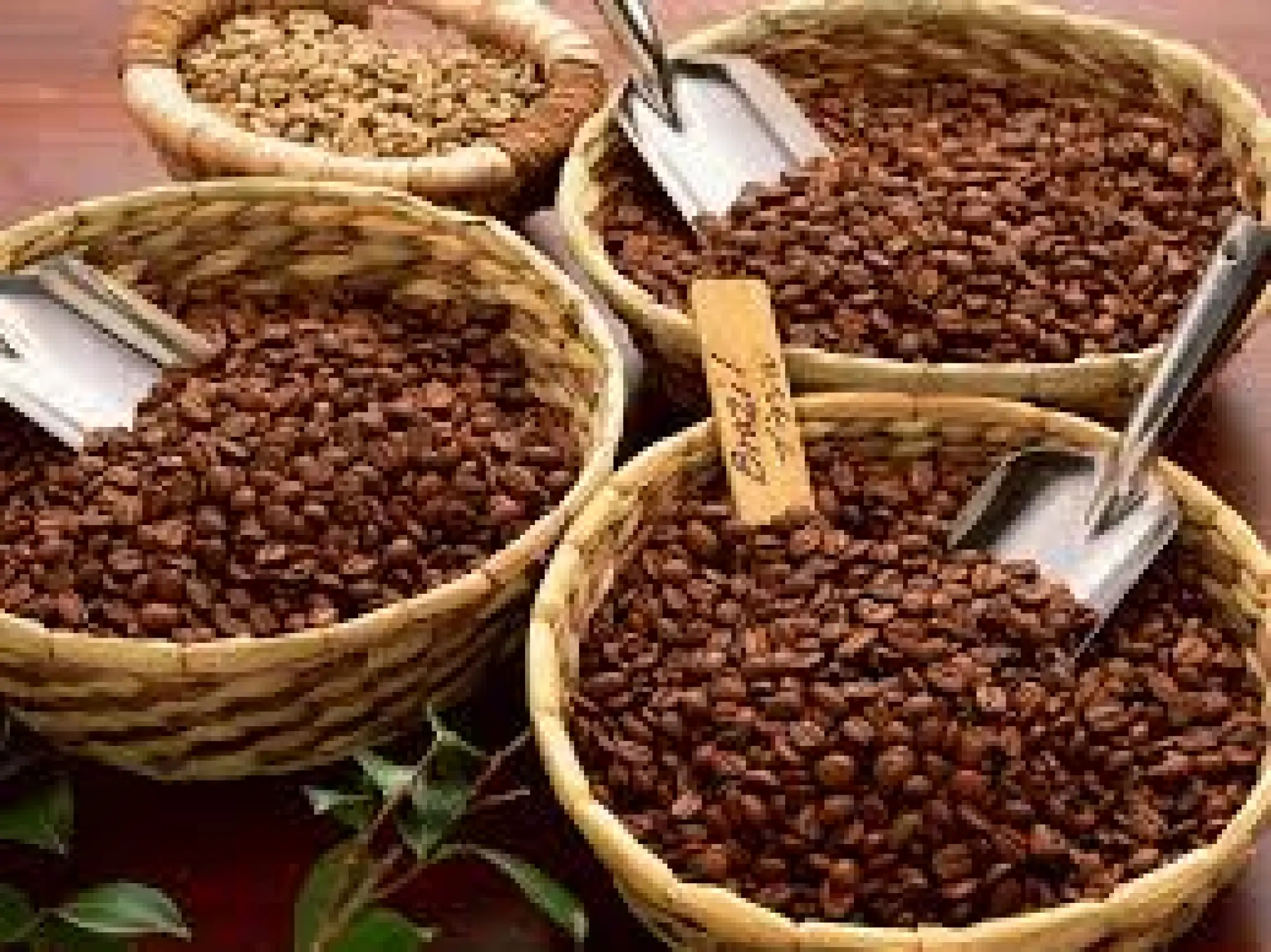 cà phê chồn tây nguyên dạng bột loại thượng hạng-cà phê pha phin truyền thống-đặc sản tây nguyê-[combo 1ký 2 gói 500g túi cà phê đaklak 47 chính hiệu 100% 1