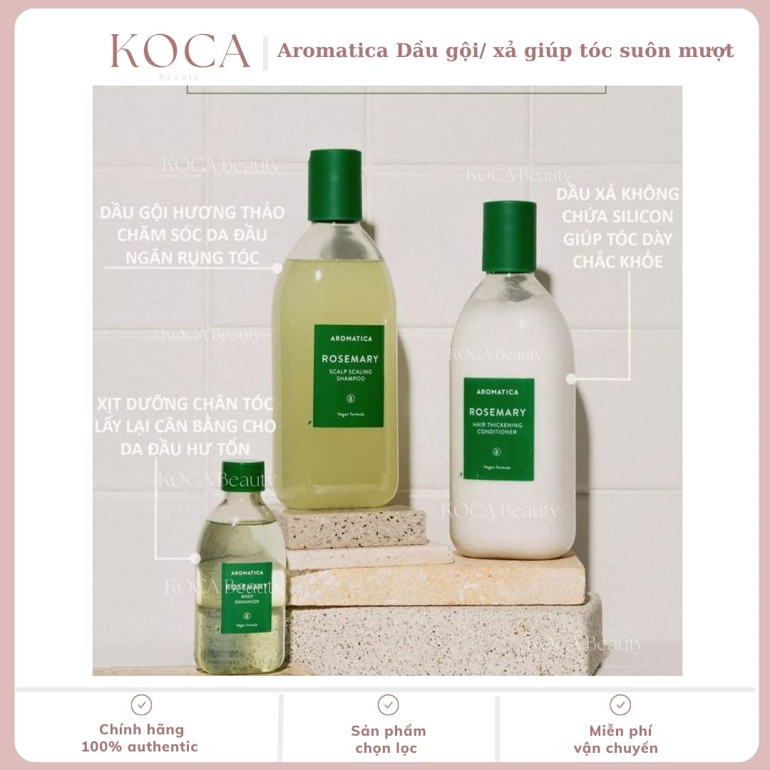 Dầu gội/ Dầu xả Hương thảo Rosemary ngăn rụng tóc giúp tóc chắc khỏe