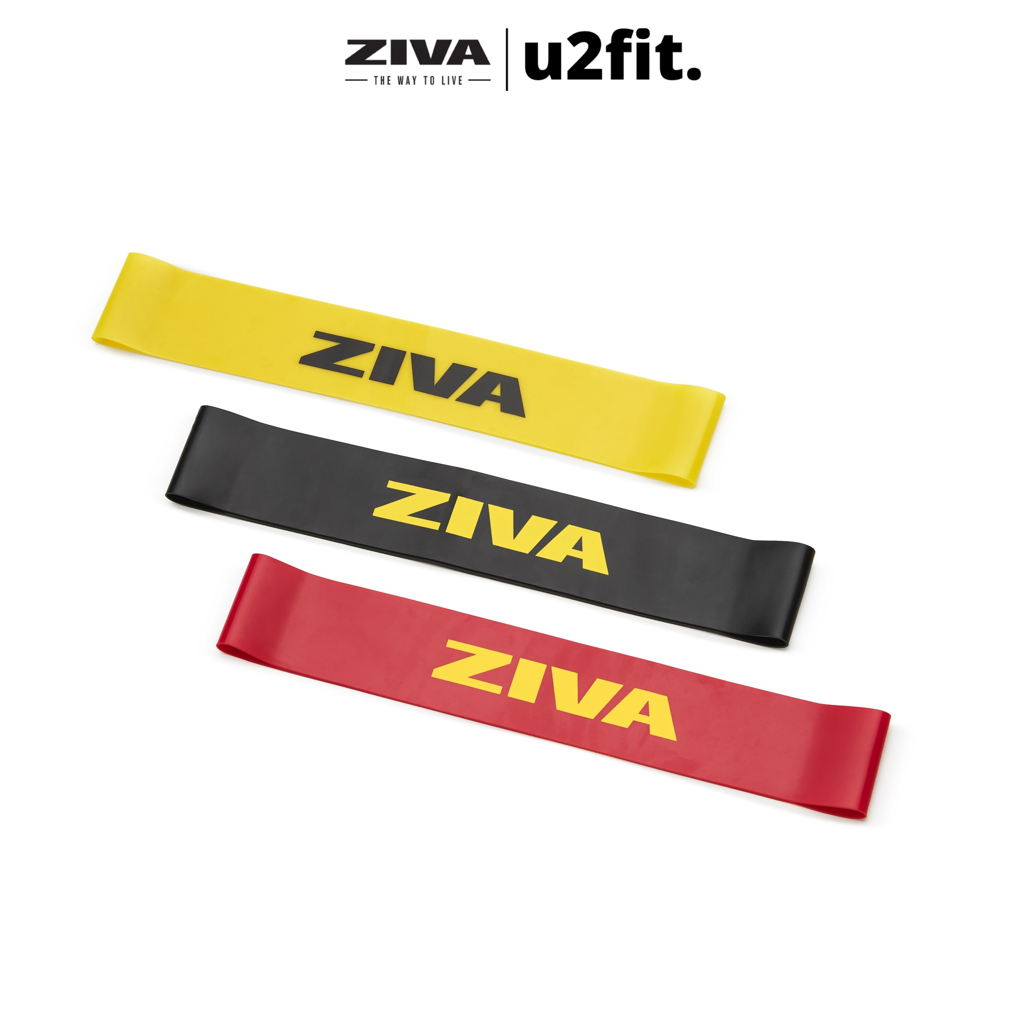 Bộ 3 Vòng Kháng Lực ZIVA 3 Mức Kháng Lực - Hỗ Trợ Các Bài Tập Squat, Toàn Thân - Loop Resistance Band Set