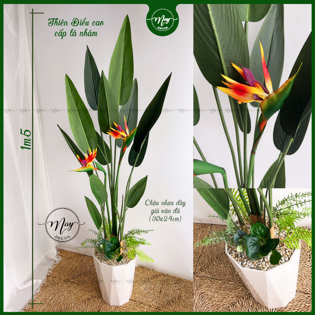 Cây giả, Thiên điểu lá nhám cao cấp cao 1m3, 1m5