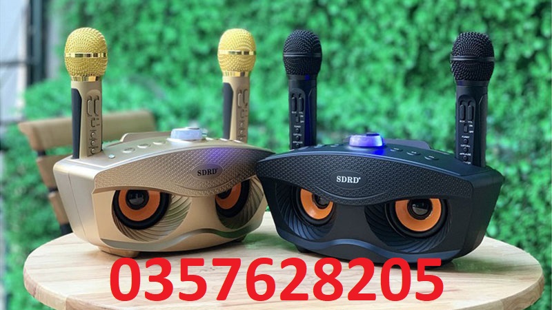 Loa karaoke sd 306 giá tốt - loa karaoke sd 306 giá tốt
