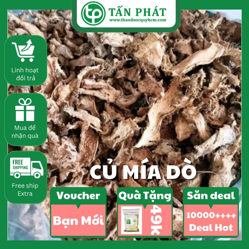 [New Arrivals] Dried Convex Sand Roots 1kg - Tan Phat Herbal Medicine - Specialized for Making Water and Making Tea to Help Clear Heat and Detoxify Extremely Effectively Giá 190,740 Đồng*Miễn phí vận chuyển