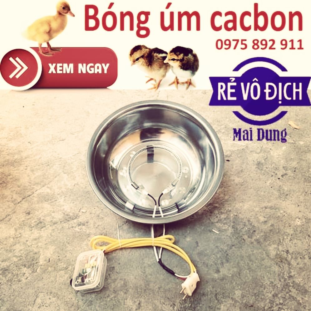 đèn úm cho gà , vịt  mới nở - siêu ấp
