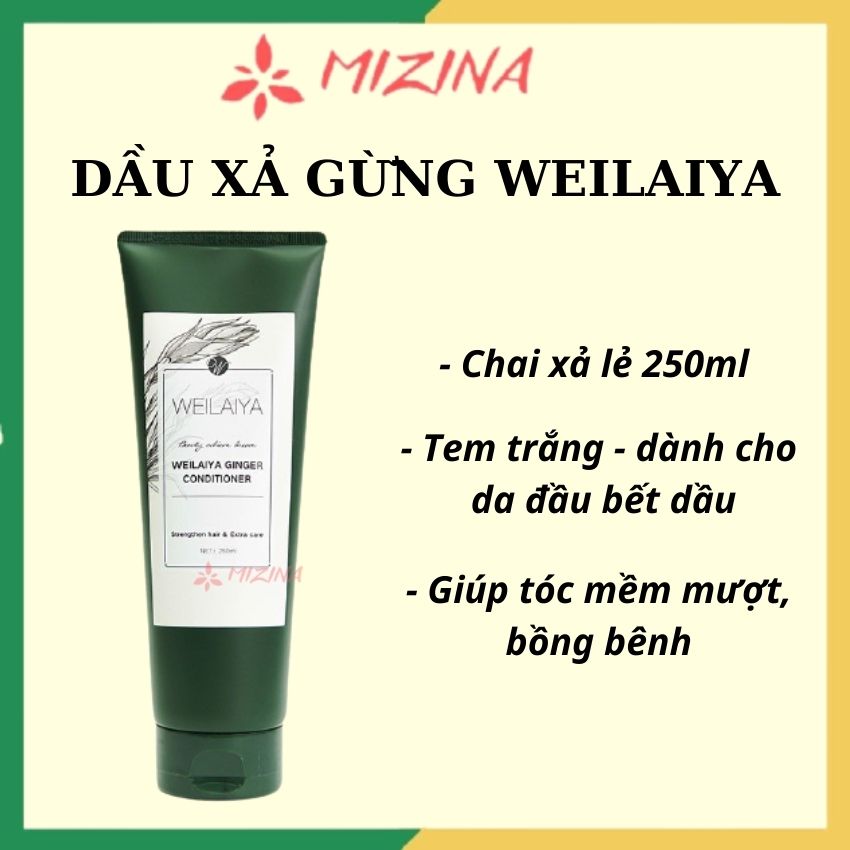 Dầu Xả Gừng Weilaiya Hàng Chính Hãng Dành Cho Da Đầu Dầu – MDGG12 Giảm Gàu, Giảm Dầu, Ngừa Rụng Tóc, Giúp Mọc Tóc Hiệu Quả – Mizina Shop