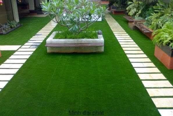25 mét vuông thảm cỏ nhân tạo độ cao 3cm