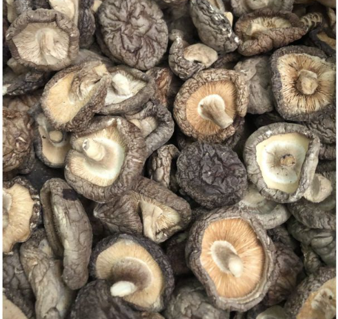 500g nấm đông cô khô thơm ngon bổ dưỡng