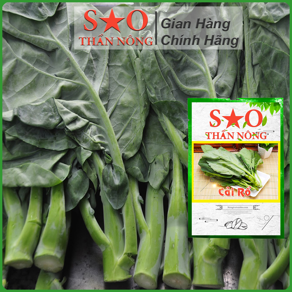 Hạt giống Cải Rổ  cao sản -hạt giống rau Sao thần Nông - gói 5g