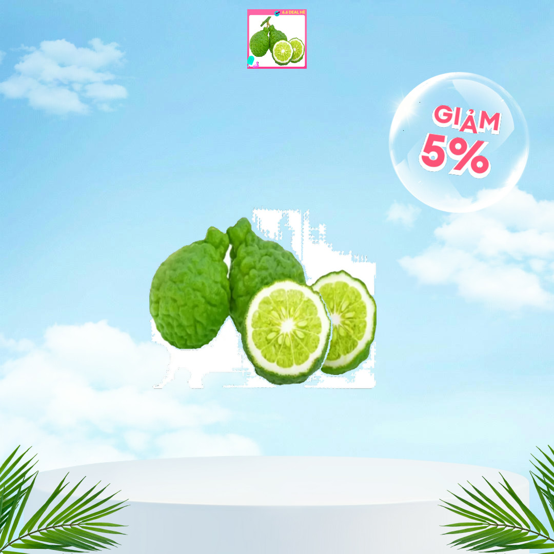 Trái chúc tươi 1kg. Trái chanh thái. Hàng tươi mơi hái